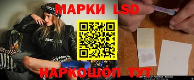 apvp Аша