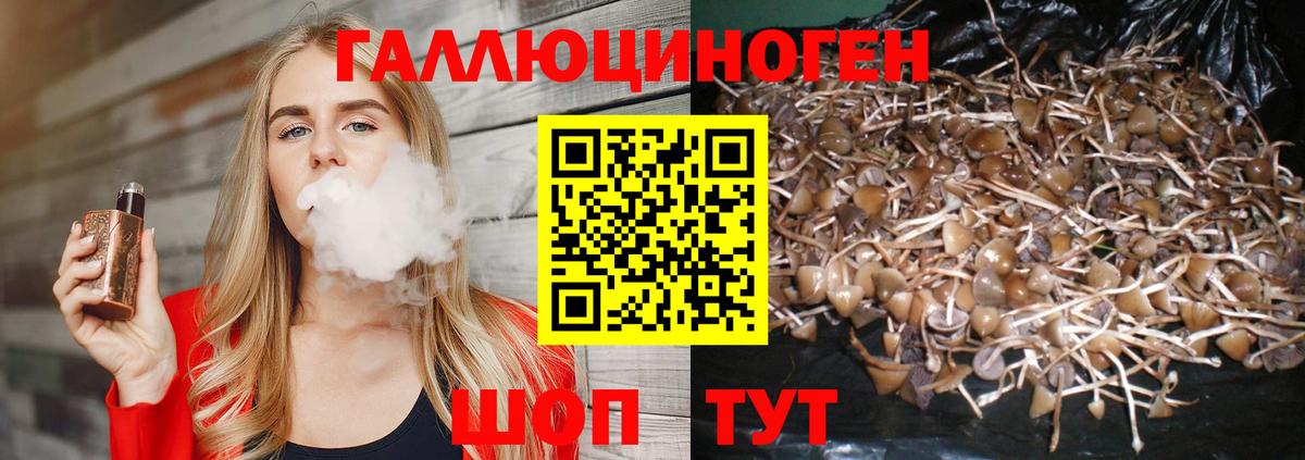 Псилоцибиновые грибы Cubensis  Вход с VPN  Псилоцибиновые грибы прущие грибы  Альметьевск 