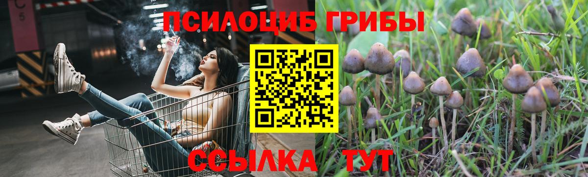 Галлюциногенные грибы Magic Shrooms Альметьевск